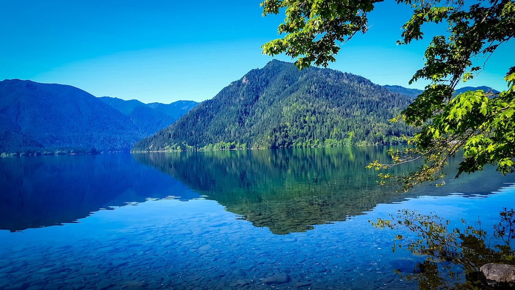 Olympic National Park Tour 