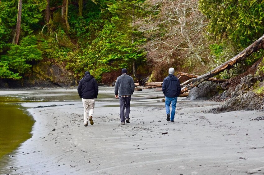 Olympic National Park Tour 