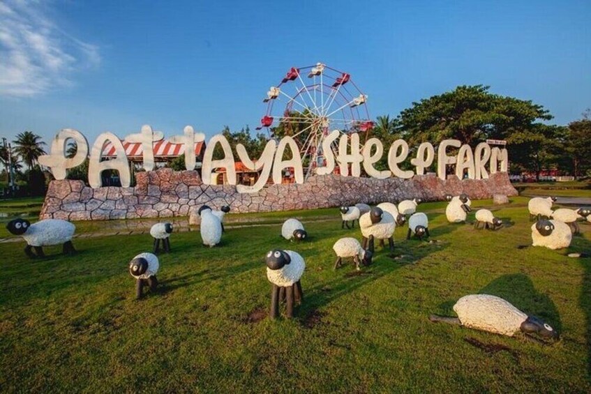 Pattaya Sheep Farm Entrance Tickets