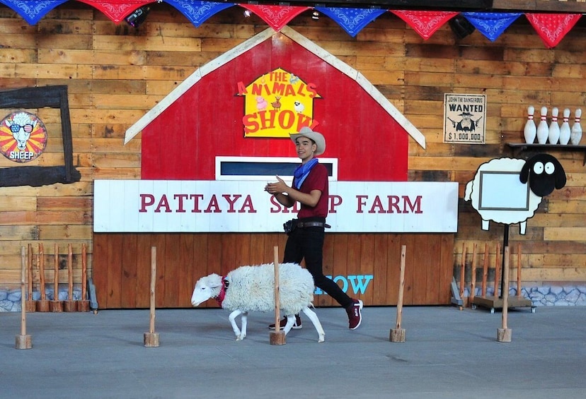 Pattaya Sheep Farm Entrance Tickets