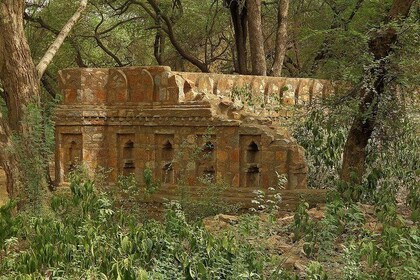 Delhi Urban & Heritage Adventures