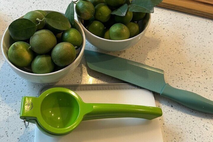 Mexican Cooking Class in Puerto Vallarta in a Local Home