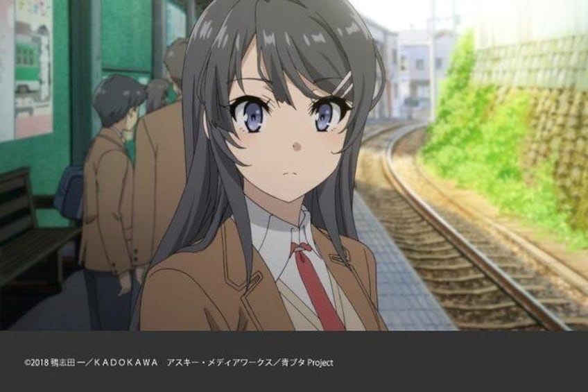 Show item 1 of 18. Private Tour - Anime Tourism: "Rascal Does Not Dream of Bunny Girl Senpai"