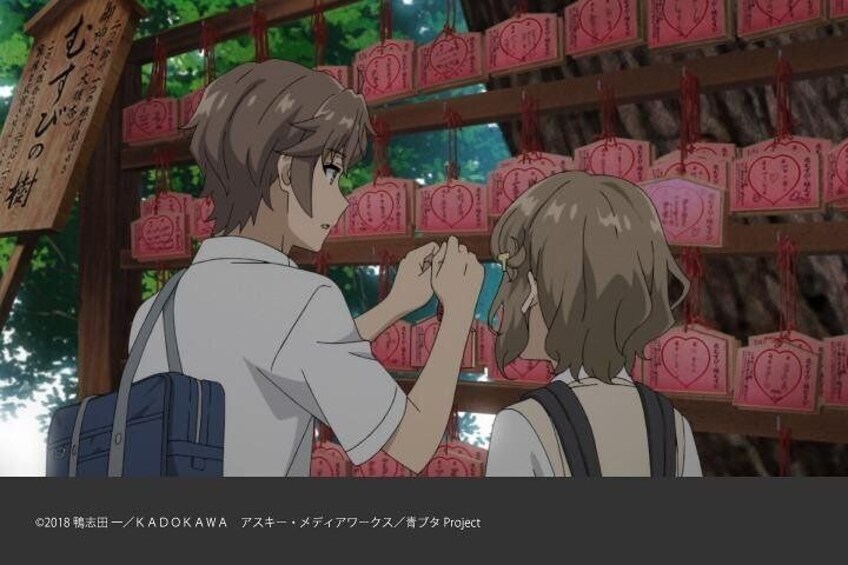 Show item 4 of 18. Private Tour - Anime Tourism: "Rascal Does Not Dream of Bunny Girl Senpai"