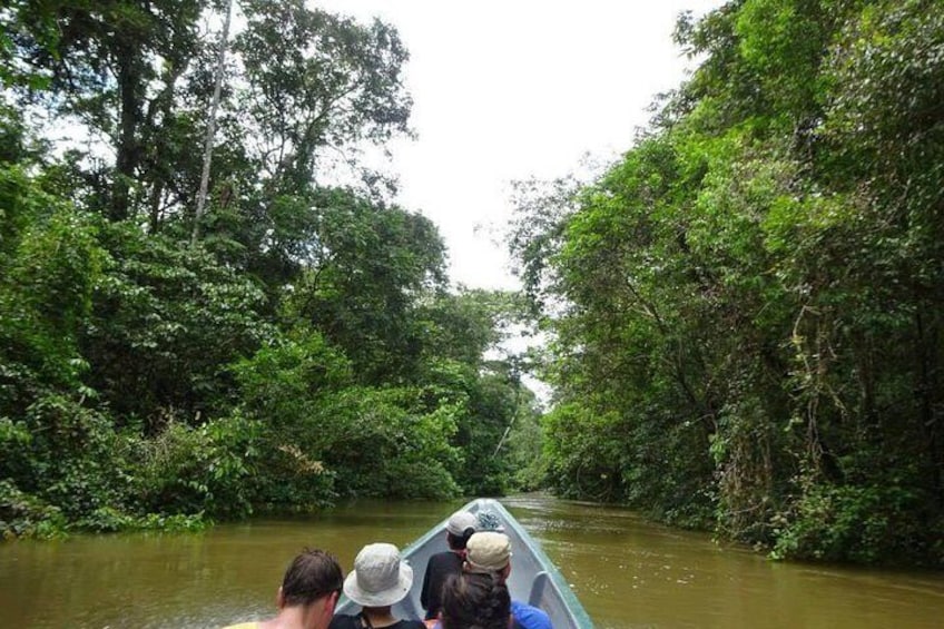 Cuyabeno Wildlife Reserve