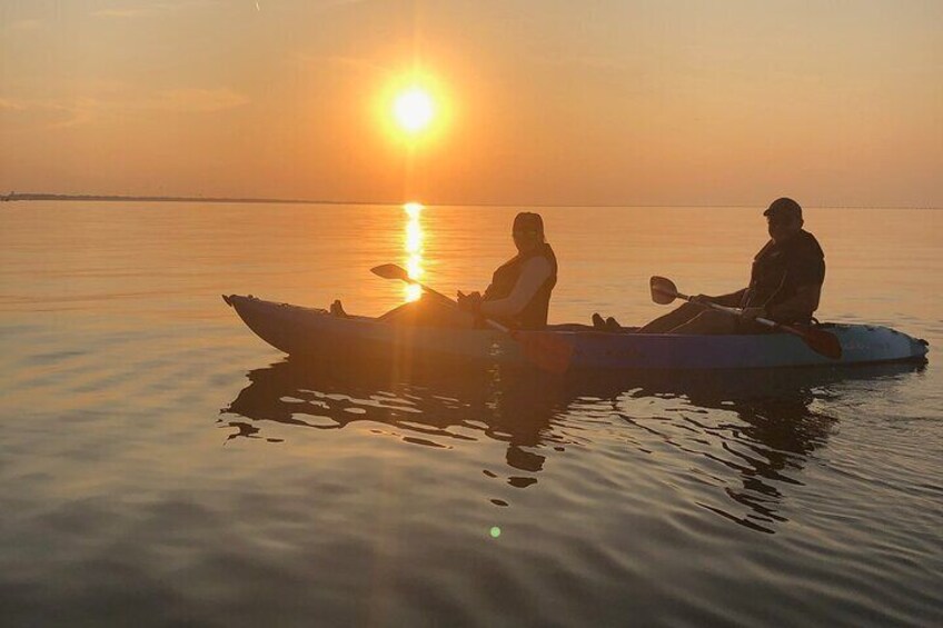 Sunset Dolphin Kayak Tours