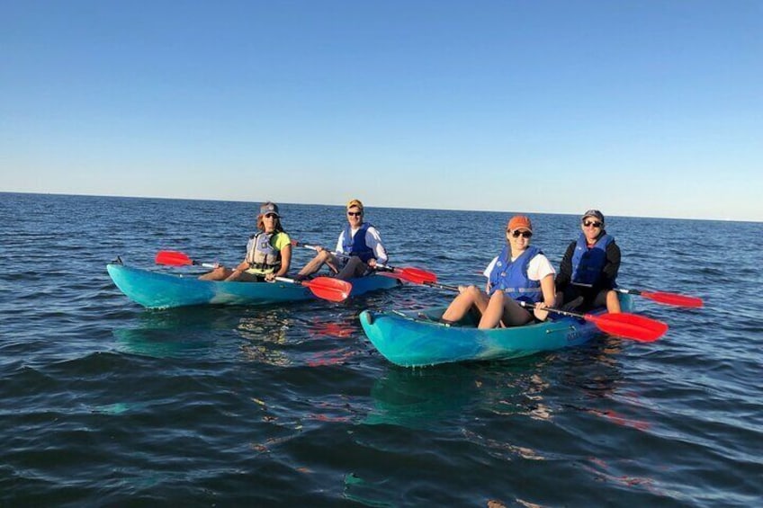 Sunset Dolphin Kayak Tours