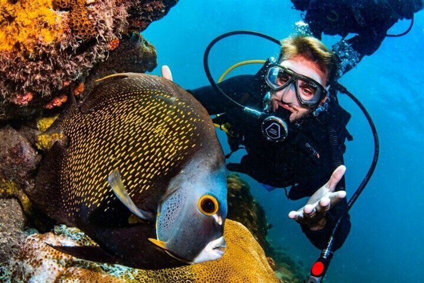 Scuba Diving in Rio de Janeiro