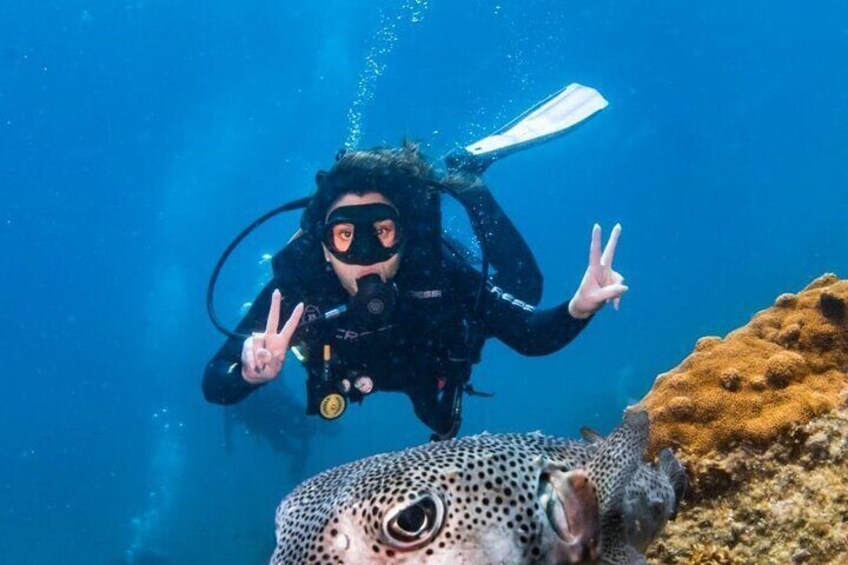 Scuba Diving in Rio de Janeiro