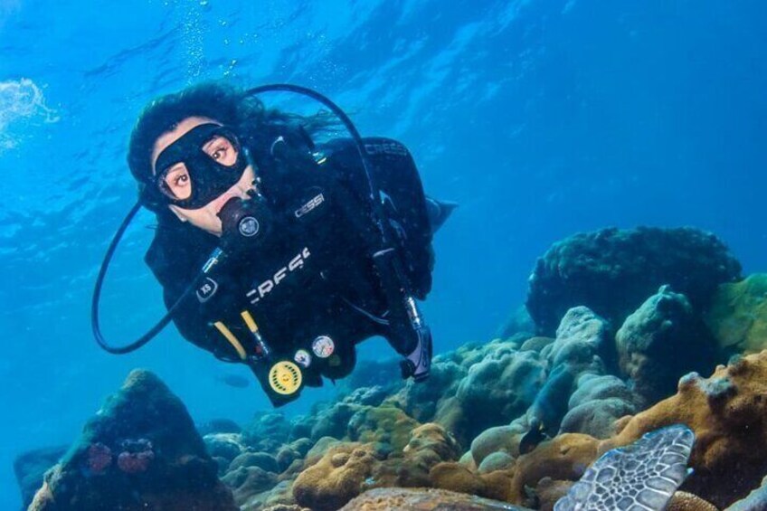 Scuba Diving in Rio de Janeiro