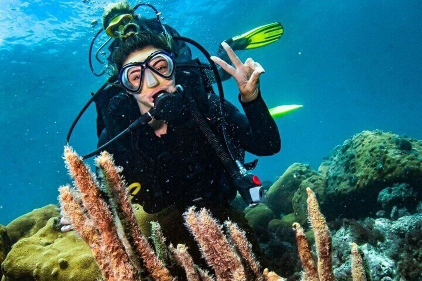 Scuba Diving in Rio de Janeiro