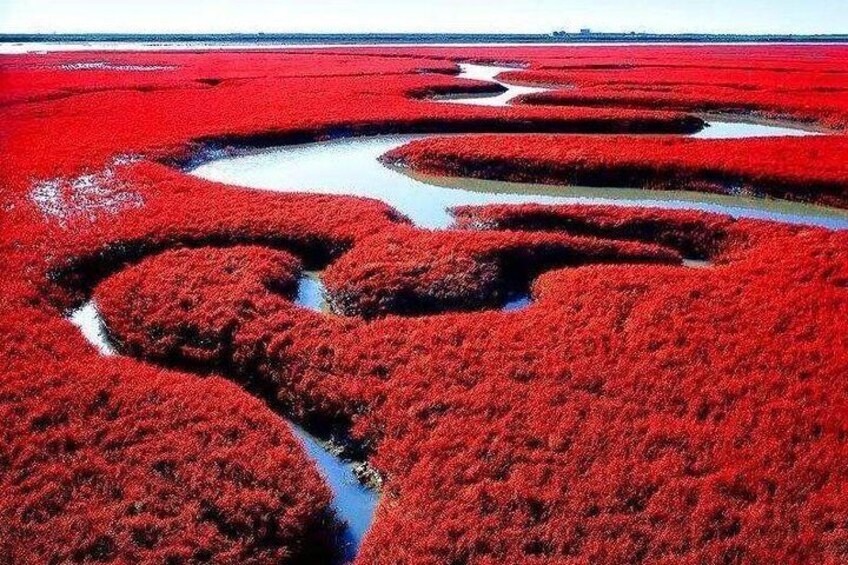All-Inclusive Private Day Tour to Red Beach in Panjin City from Shenyang