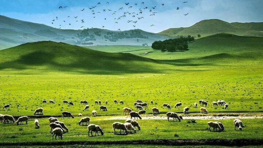 4 Full Day HulunBuir Inner Mongolia Private Tour