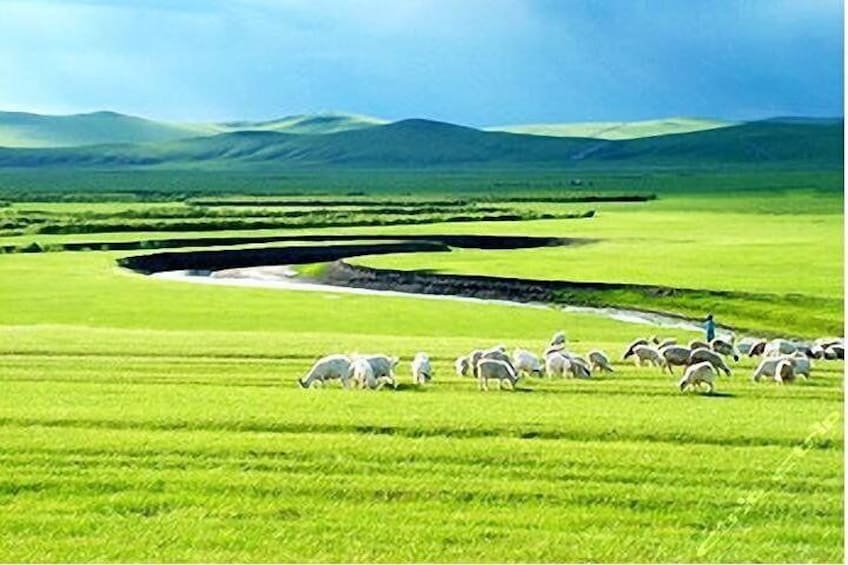 5-Day Inner Mongolia Private Tour Combo of Grassland and Desert with Hotel
