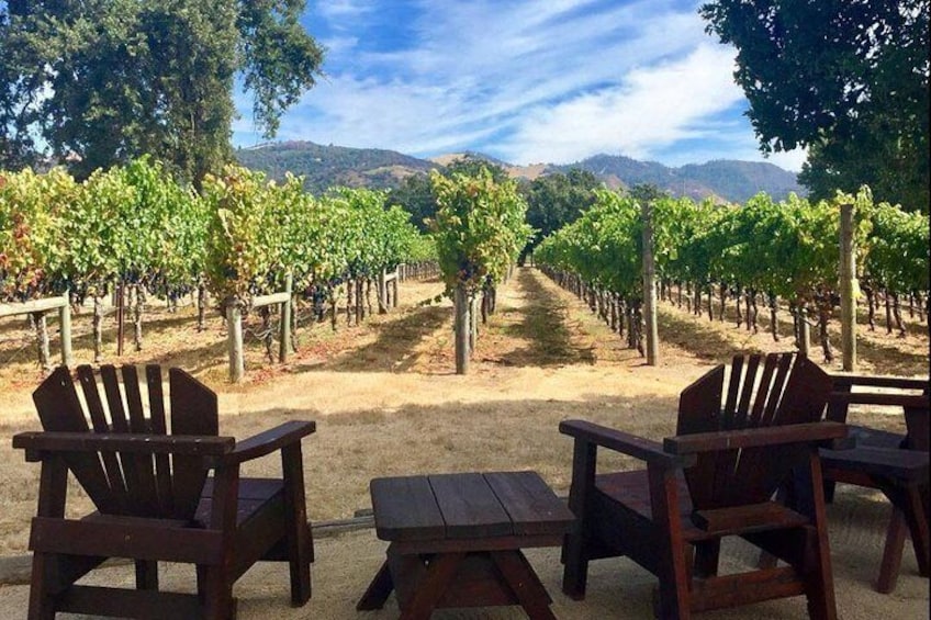 Small-Group Wine-Tasting Tour through North Sonoma County
