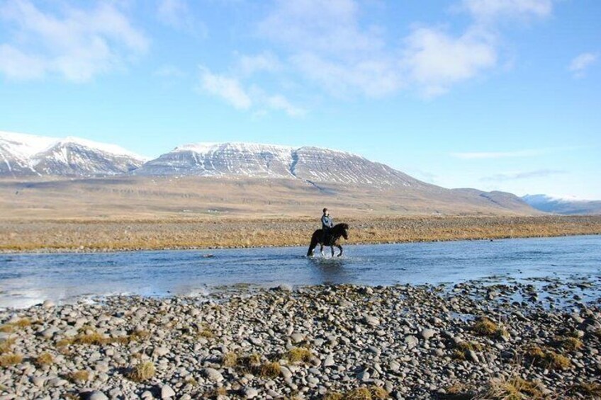 Horse Riding Tour to the Glacier River Delta with Waterfall