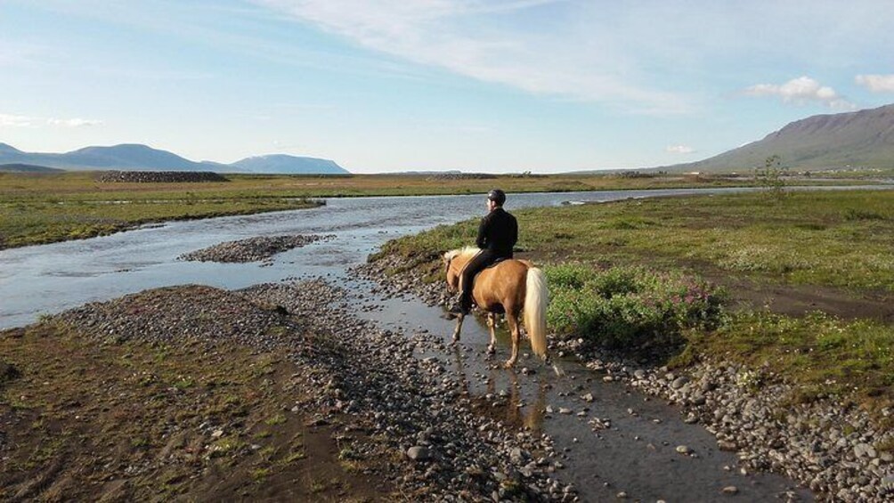Horse Riding Tour to the Glacier River Delta with Waterfall