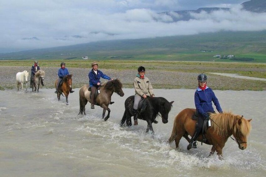 Horse Riding Tour to the Glacier River Delta with Waterfall