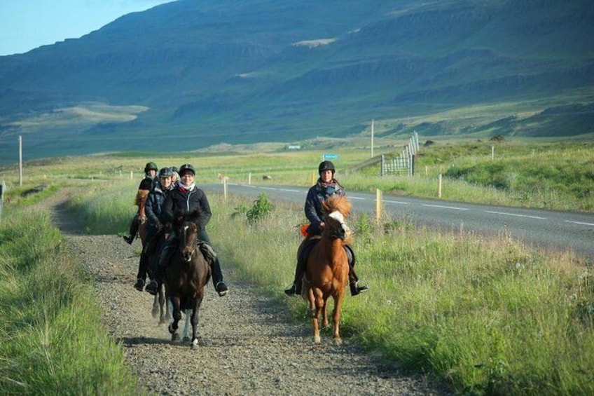 Horse Riding Tour to the Glacier River Delta with Waterfall