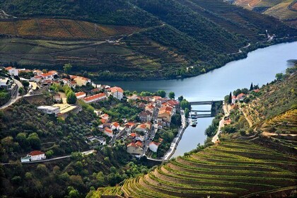 Douro Valley Cruise Porto to Pinhão: Breakfast, Lunch and Tasting
