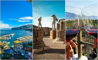 Best Private Tour of Sorrento+Pompeii+WineTasting (8 hours)