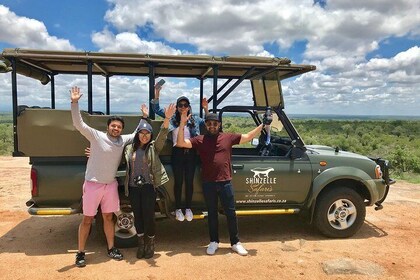 Kruger National Park - Geführte Tagestour inklusive Transfer vom und zum Ho...
