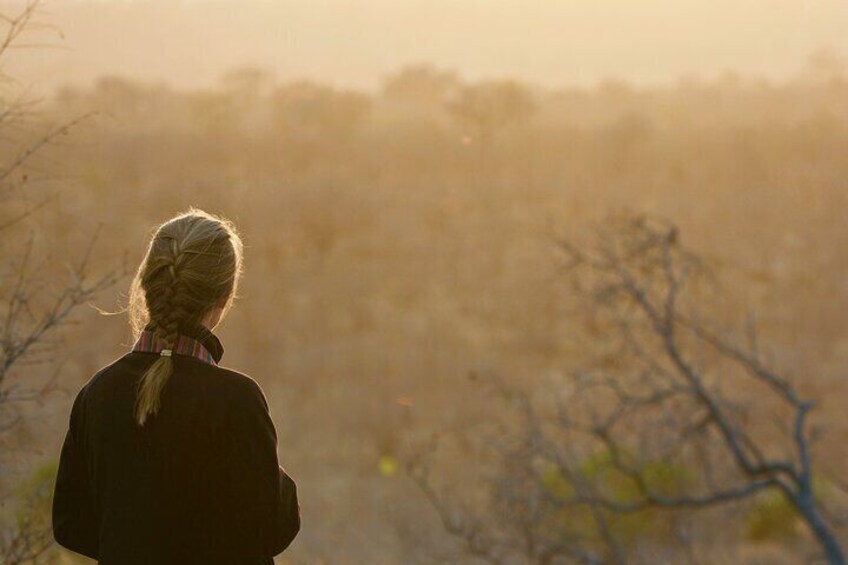 Kruger National Park Guided Day Tour including Hotel Pick-Up and Drop-Off