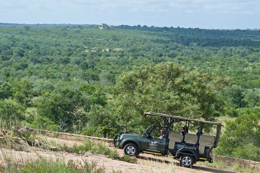 Kruger National Park Guided Day Tour including Hotel Pick-Up and Drop-Off