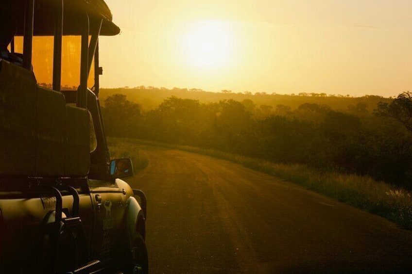 Kruger National Park Guided Day Tour including Hotel Pick-Up and Drop-Off