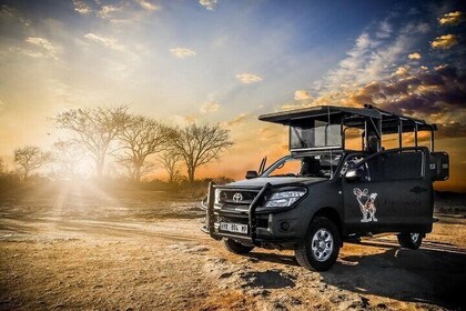 Kruger National Park Private Guided Tour