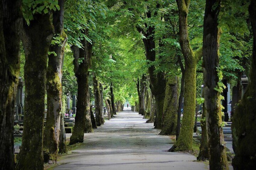 Best of, Zagreb - Croatia's Capital in a day, Full Day Trip from Ljubljana