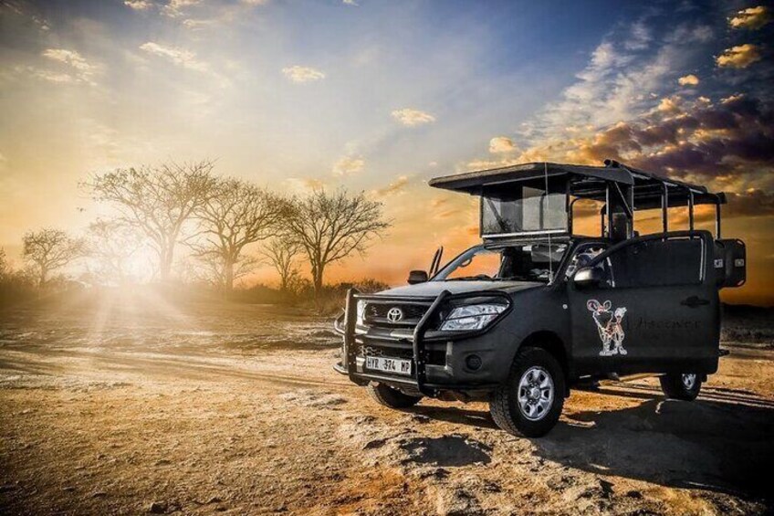 Kruger National Park Private Guided Afternoon Game Drive