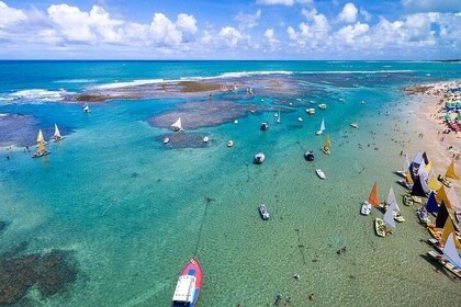 Excursion to Porto de Galinhas in Pernambuco