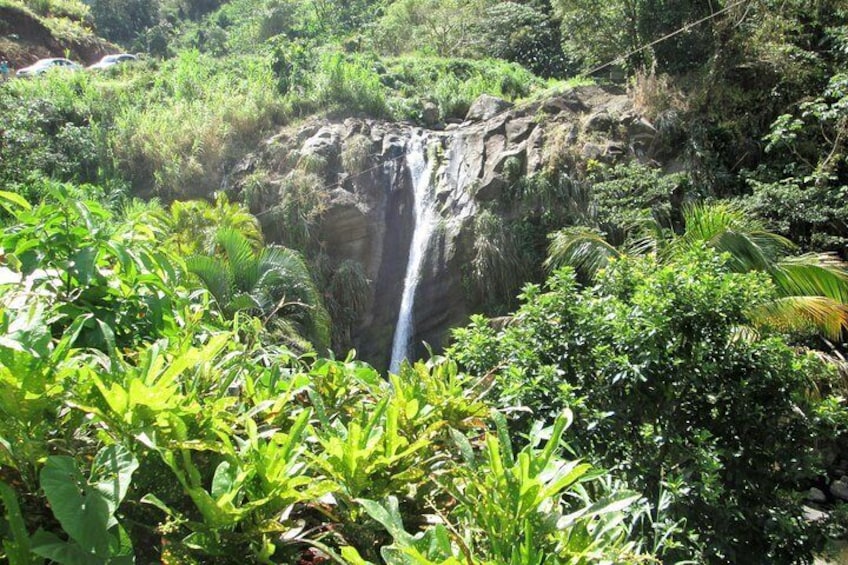 Half Day Grenada Sunshine Highlights Tour