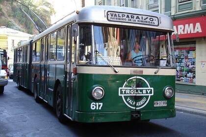 Private Valparaíso Walking Tour with Local Lunch from Santiago