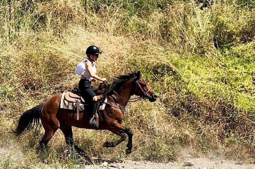 Horse Riding Tour, Naples