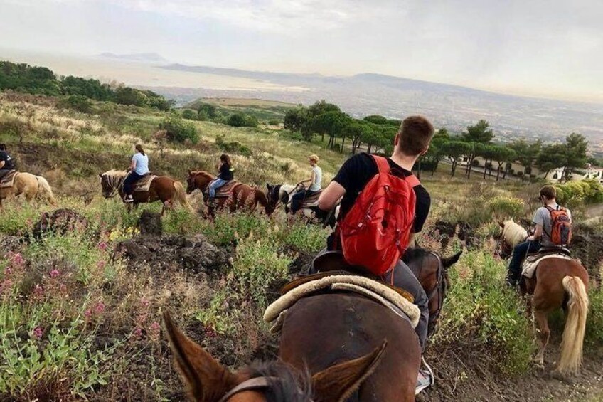 Horse Riding Tour, Naples