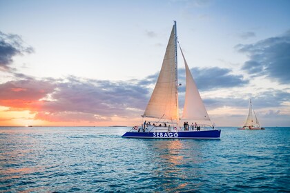 Key West Dolphin Watch Sonnenuntergangssegel mit Tapas-Paarung