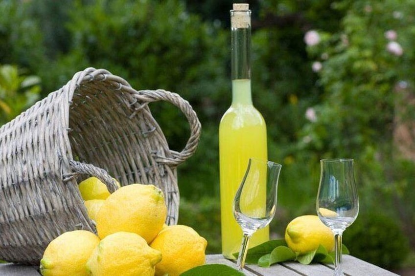 The Gastronomic Tour: Limoncello, Olive Oil and Wine Tasting with Lunch 