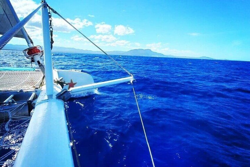 Catamaran Day Trip, Snorkeling & Sailing Excursion