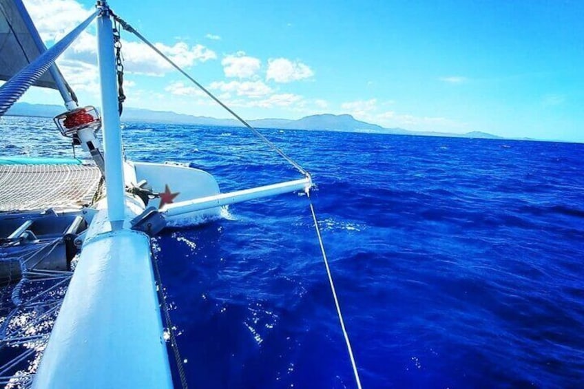 Catamaran Day Trip, Snorkeling & Sailing Excursion
