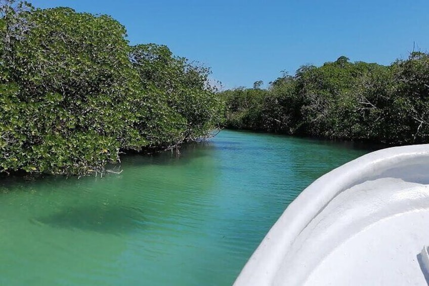 Cayo Arena, Paradise Island Tour