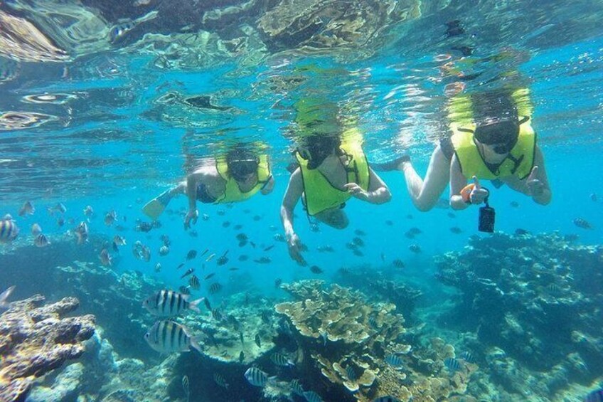 Snorkeling tour & Sosua Beach Day