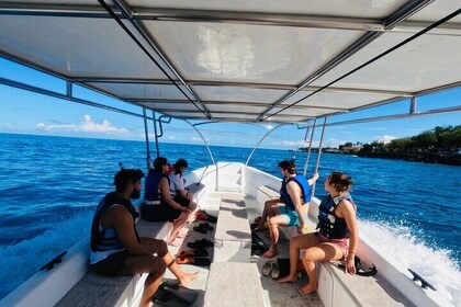 Excursión a la costa de Puerto Plata, tour de snorkel y día de playa de Sos...