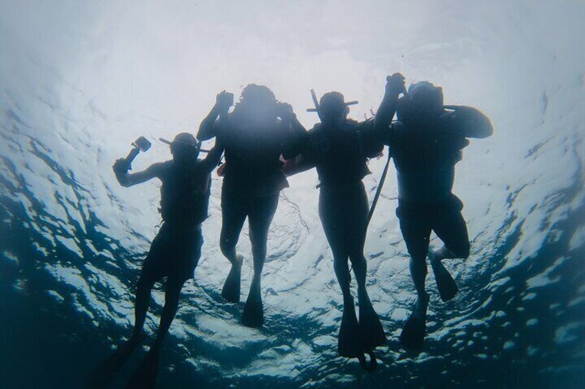 Discover Sosua's Underwater World & Beach Day