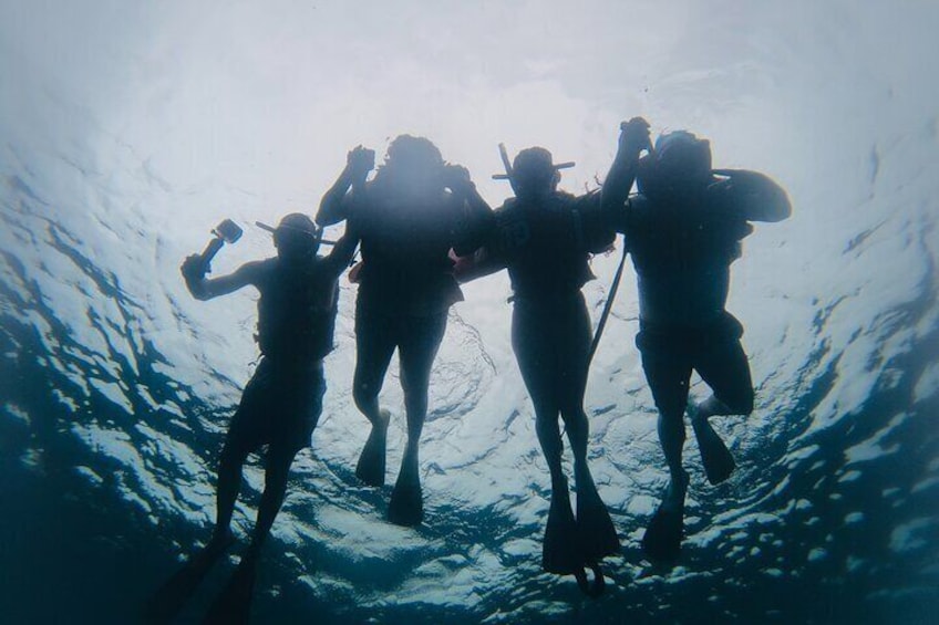 Discover Sosua's Underwater World & Beach Day