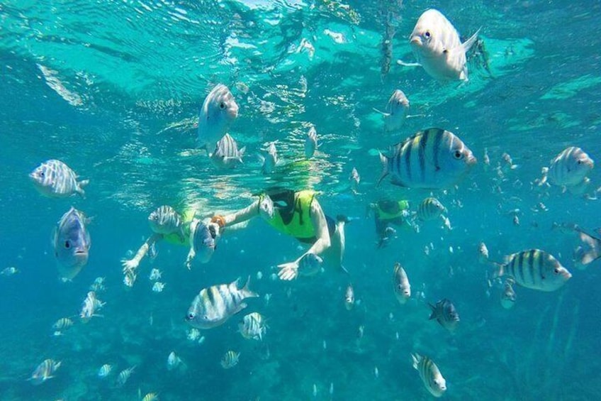 Discover Sosua's Underwater World & Beach Day