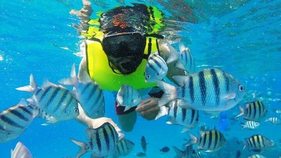 Discover Sosua's Underwater World & Beach Day