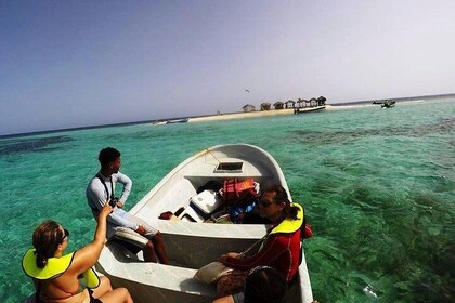 VIP tour to Paradise Island & The Mangroves