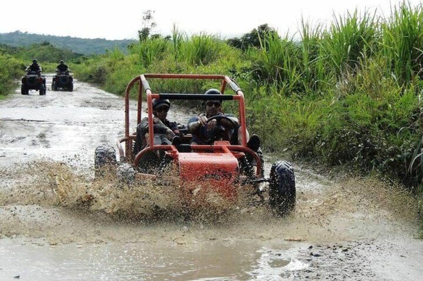 Buggy Tour